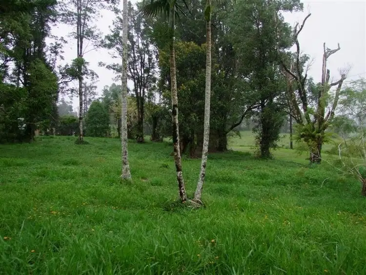 LOT L161/L208 Dirran Street, Millaa Millaa QLD 4886