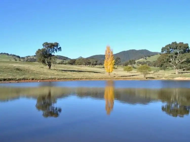Second view of Homely rural property listing, LOT 2, 217 Desmonds Lane, Mansfield VIC 3722