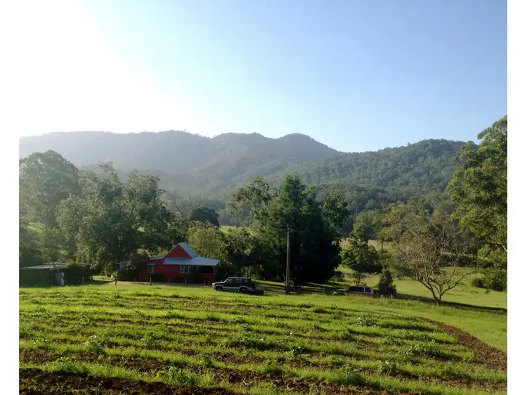 Second view of Homely rural property listing, 275 darkwood Road, Bellingen NSW 2454