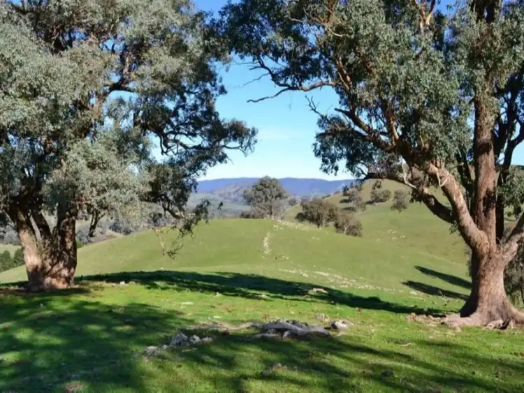 Sixth view of Homely rural property listing, 1-7,  Monkey Gully Road, Mansfield VIC 3722