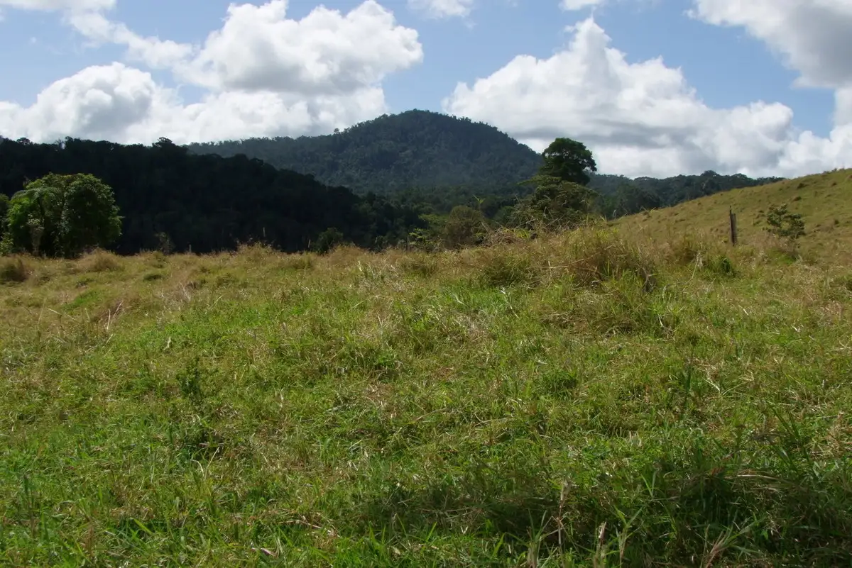 Main view of Homely rural property listing, Address available on request