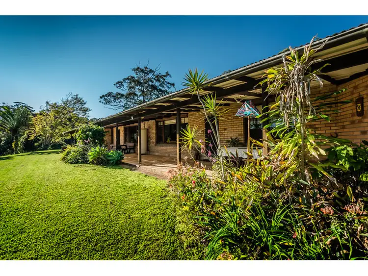 Sixth view of Homely rural property listing, 229 Roses Road, Bellingen NSW 2454