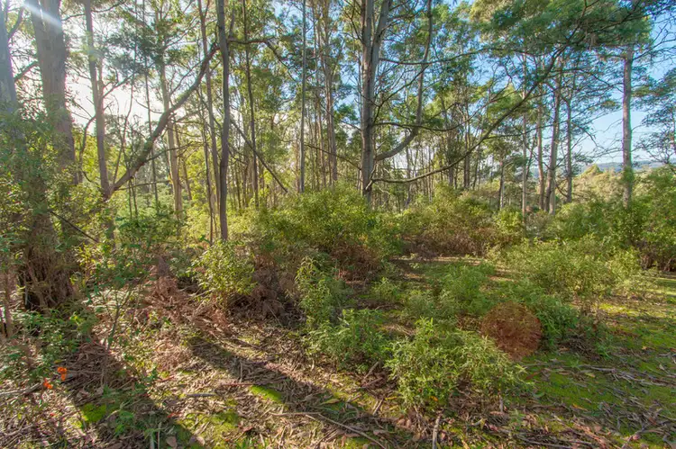 Sixth view of Homely land listing, 70 Clayton Drive, Spreyton TAS 7310