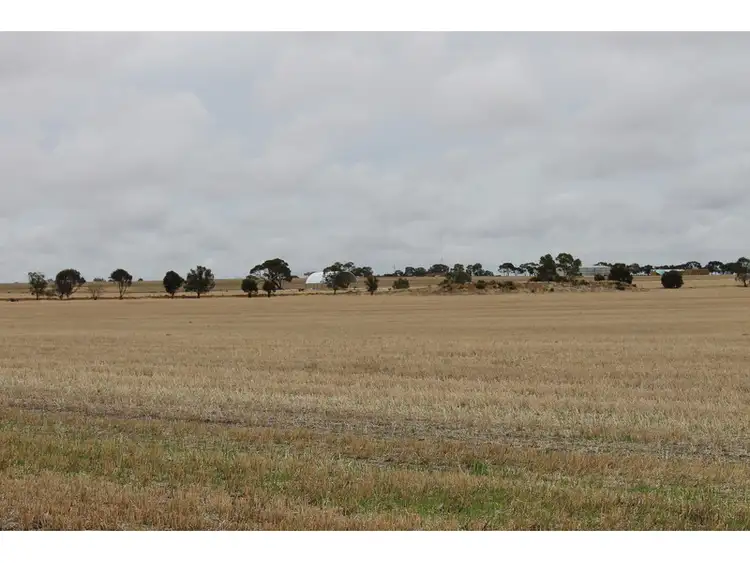 Fifth view of Homely rural property listing, 3311 Fiegert Road, Cunderdin WA 6407