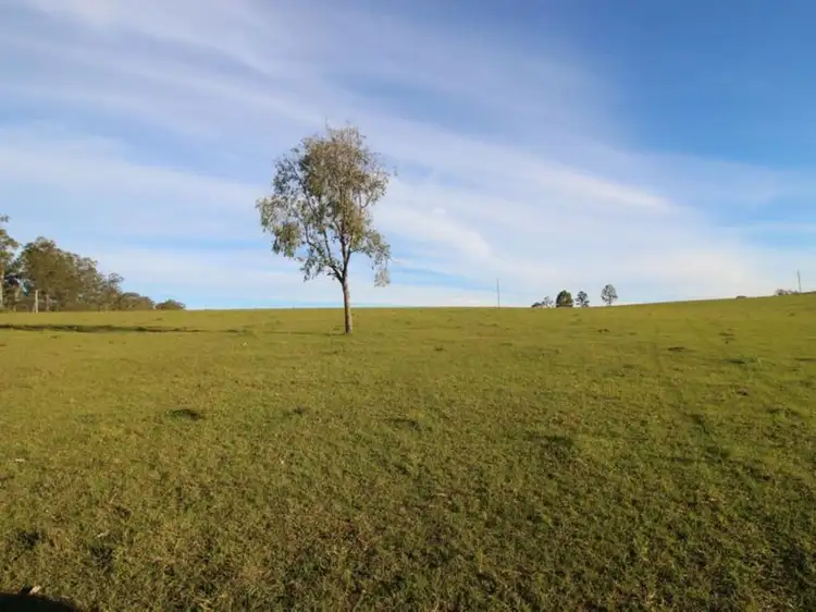 Fifth view of Homely rural property listing, 618 Tullymorgan Road, Lawrence NSW 2460