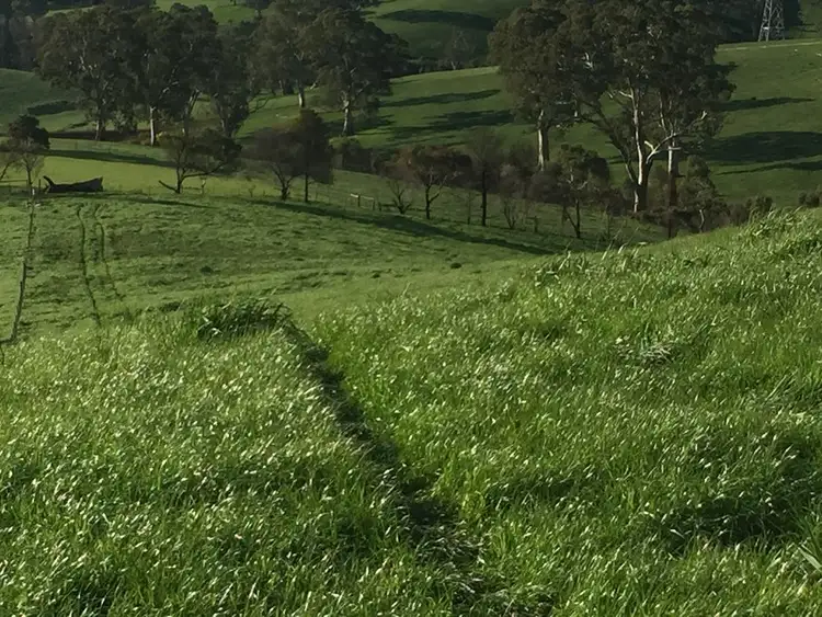 Fifth view of Homely rural property listing, Address available on request