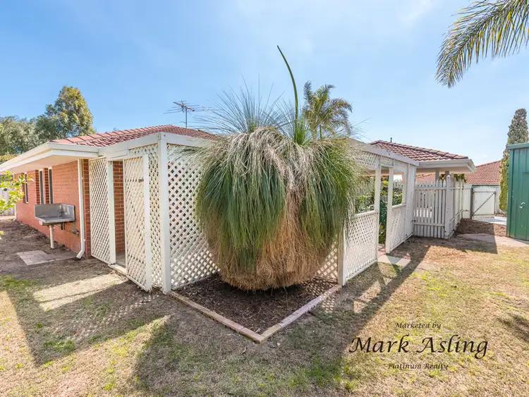 Seventh view of Homely house listing, 11 Newlin Mews, Clarkson WA 6030