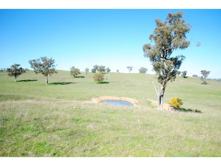 346 Avoca Road, Stuart Town NSW 2820