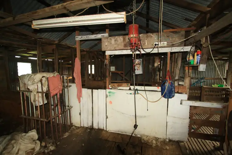 Fourth view of Homely rural property listing, 680 Balmoral Road, Coleraine VIC 3315