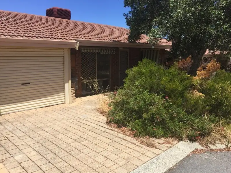Main view of Homely villa listing, 2/41 Avenell Road, Bayswater WA 6053