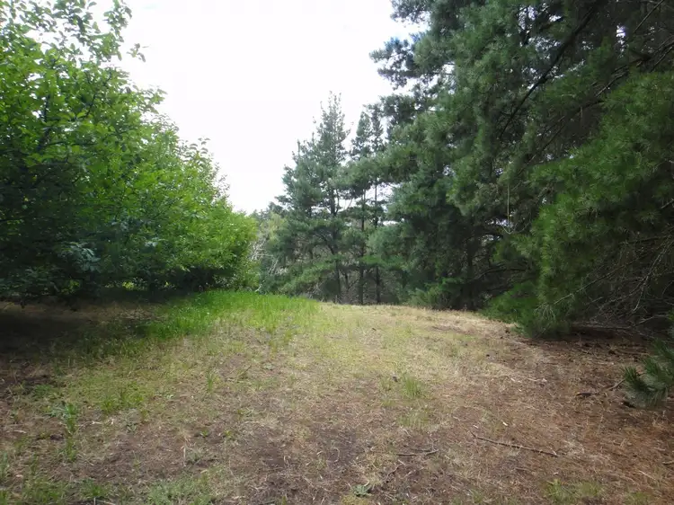Fifth view of Homely rural property listing, 718 Swamp Road, Lenswood SA 5240