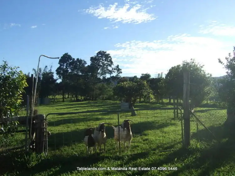 Fifth view of Homely rural property listing, Address available on request