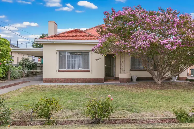 31 Dingera Avenue, North Plympton SA 5037