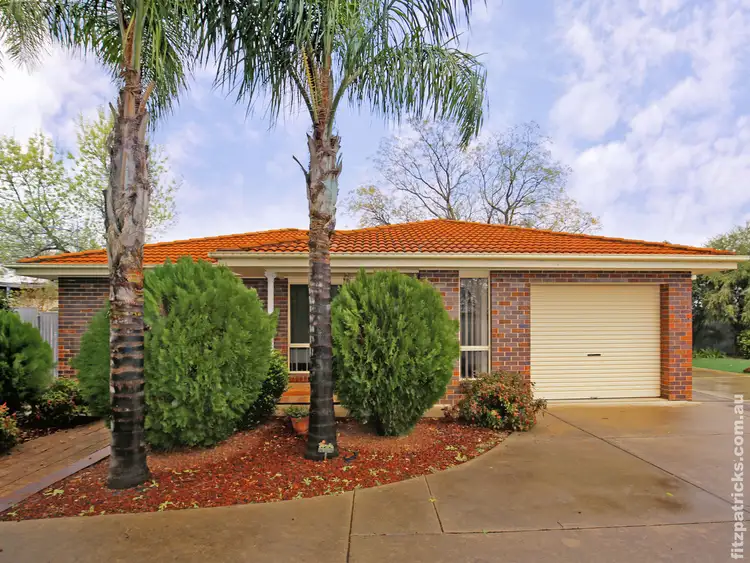 Main view of Homely unit listing, 4/5 Dalton Street, Turvey Park NSW 2650