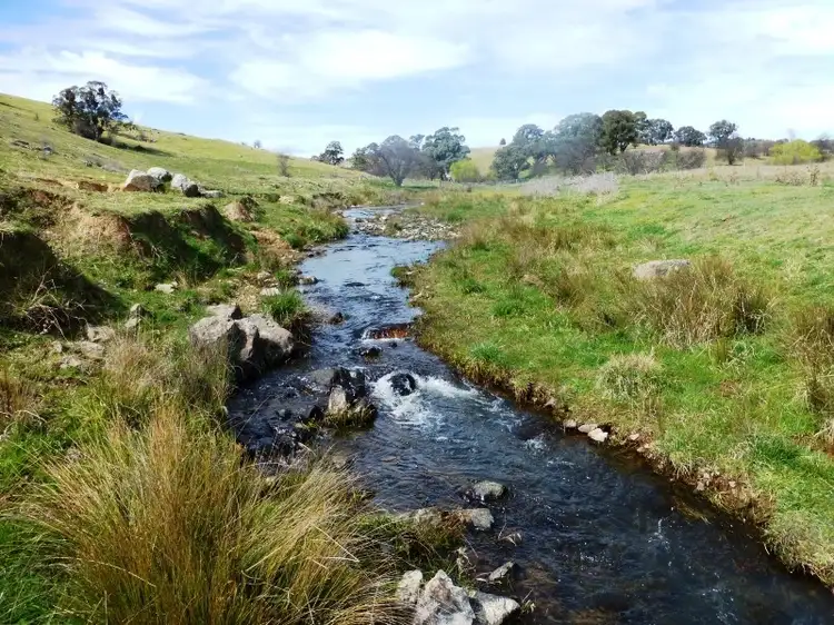 Second view of Homely rural property listing, 523 Griffin Road, Orange NSW 2800