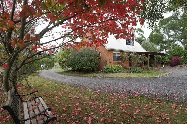Main view of Homely rural property listing, 369 Back Road, Wilmot TAS 7310