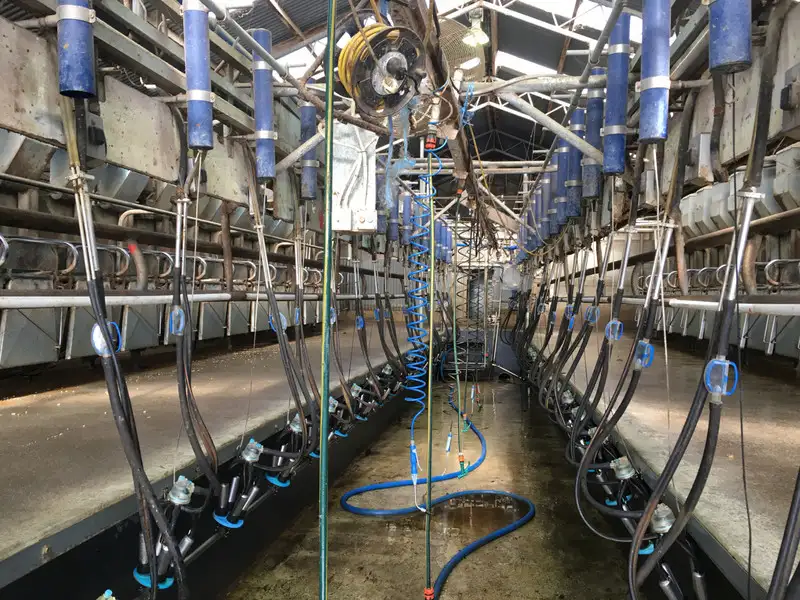 Main view of Homely rural property listing, 329 Eastern Creek Road, Port Campbell VIC 3269