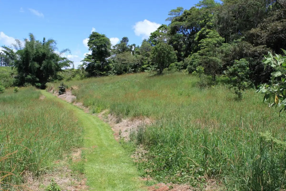 Main view of Homely rural property listing, Address available on request