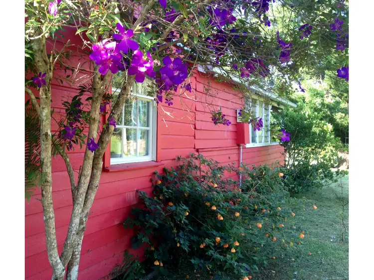 275 darkwood Road, Bellingen NSW 2454
