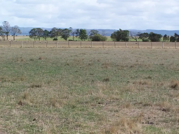 Fifth view of Homely rural property listing, 260 Rifle Butts Road, Deans Marsh VIC 3235