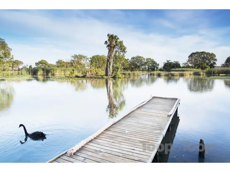 Second view of Homely rural property listing, 1193 Jervois Road, White Sands SA 5253