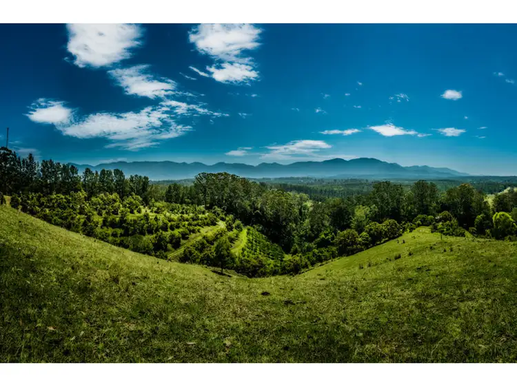 105 Kethels Rd, Bellingen NSW 2454