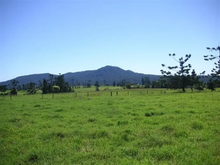 Third view of Homely rural property listing, F976 632-544 Maalan Road, Millaa Millaa QLD 4886
