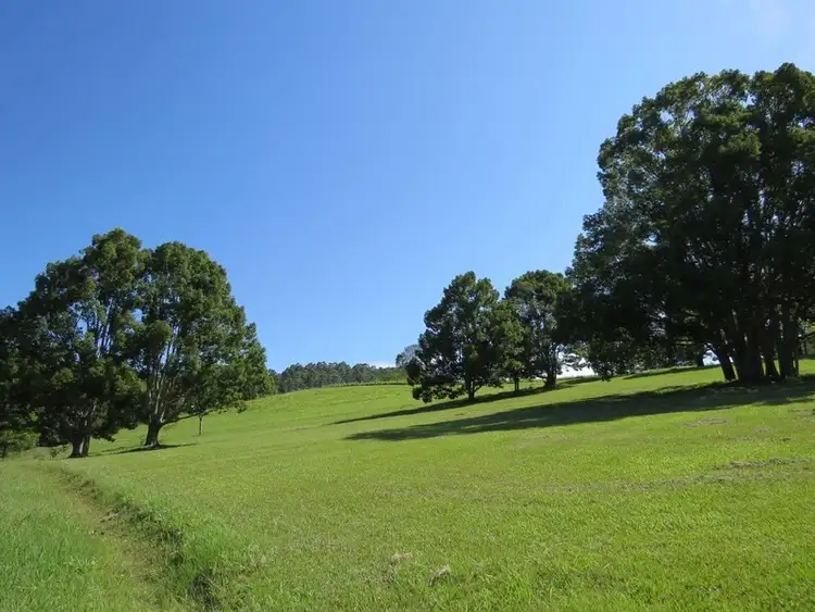 Sixth view of Homely rural property listing, 92 Malabar Avenue, Uki NSW 2484