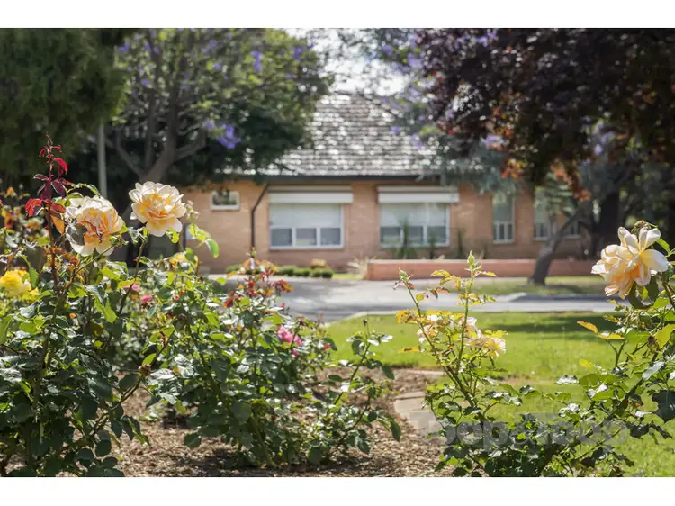 Main view of Homely block of units listing, 1/6 Austral Avenue, Linden Park SA 5065