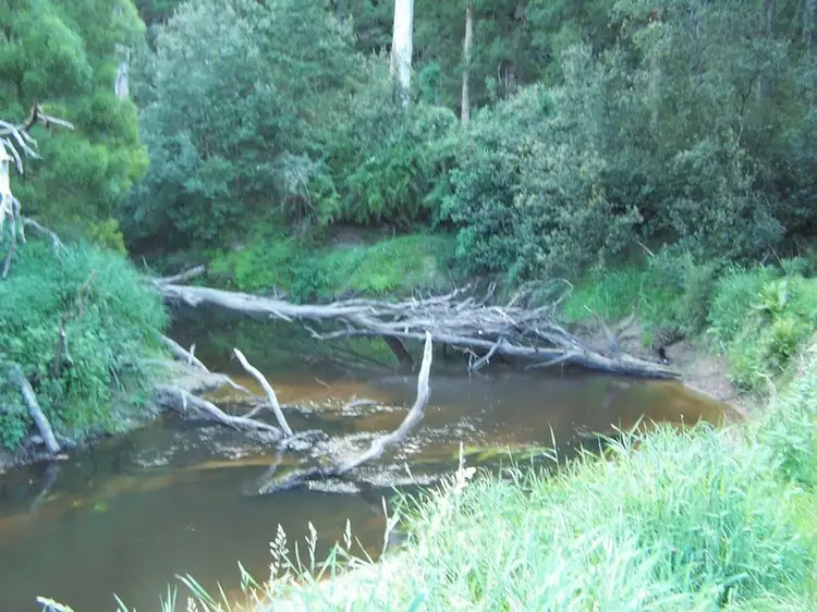 Fourth view of Homely rural property listing, 115 Lyness Road, Carlisle River VIC 3239