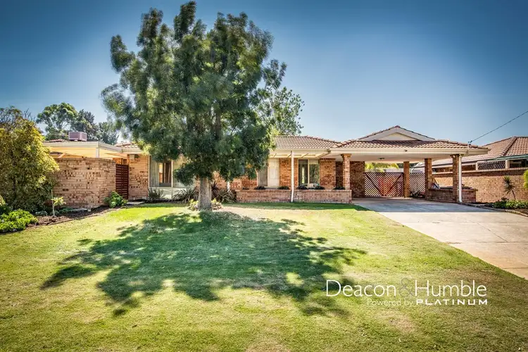 Second view of Homely house listing, 31 Craigie Drive, Beldon WA 6027