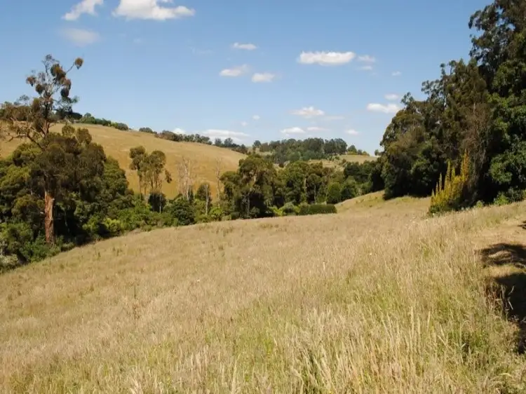 Fifth view of Homely land listing, 203 Belgrave Gembrook Road, Menzies Creek VIC 3159