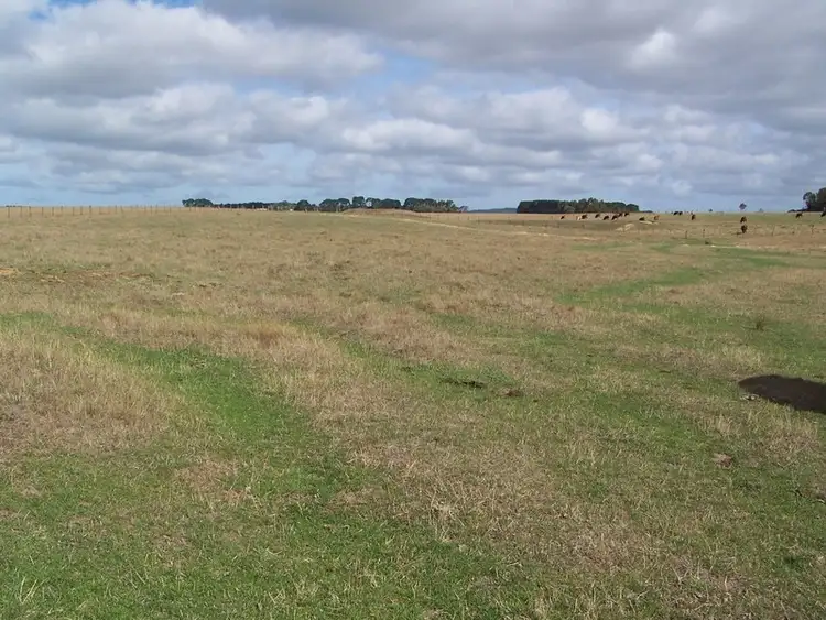 Sixth view of Homely rural property listing, 260 Rifle Butts Road, Deans Marsh VIC 3235