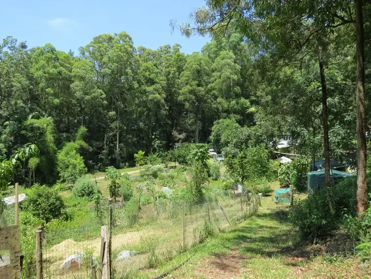 Fourth view of Homely rural property listing, 1283 Byrrill Creek Road, Brays Creek NSW 2484