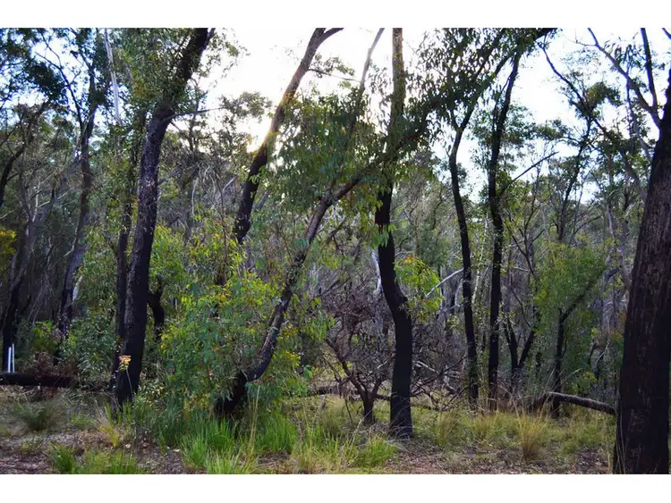 Second view of Homely land listing, 11 Balmoral Road, Mount Victoria NSW 2786