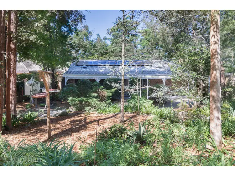 66 Davies Avenue, Springwood NSW 2777