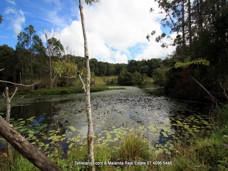Fifth view of Homely rural property listing, LS350/100 Arthur Baillie Road, Ravenshoe QLD 4888