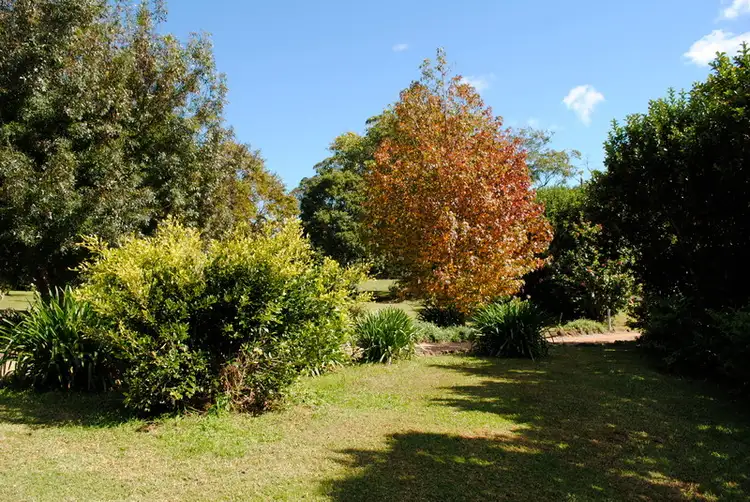 Sixth view of Homely house listing, 44 MAIN WESTERN Road, Tamborine Mountain QLD 4272