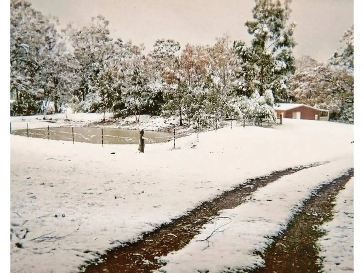 Main view of Homely house listing, 1090 Old Tolmie Road, Tolmie VIC 3723