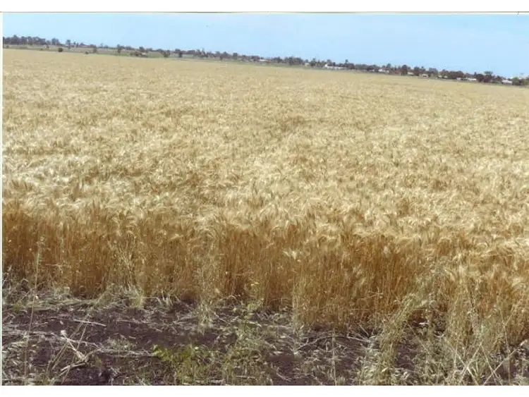 Second view of Homely rural property listing, L233 Clifton-Kings Creek Road, Clifton QLD 4361