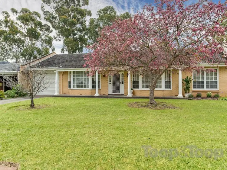 15 Jeffery Road, Vale Park SA 5081