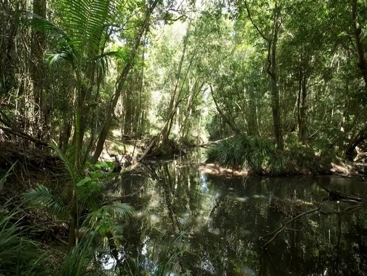 Third view of Homely land listing, 582 Gympie-Kin Kin Road, Kin Kin QLD 4571