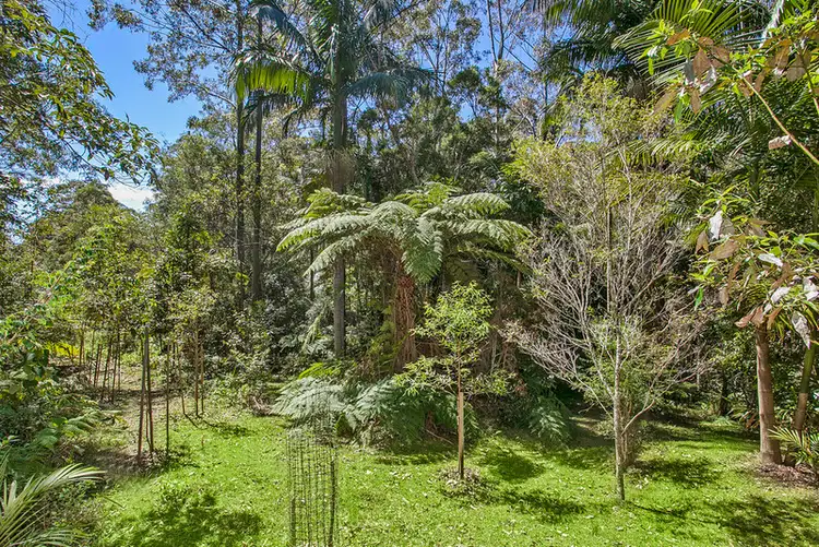 Second view of Homely house listing, 87-89 Timbarra Drive, Beechmont QLD 4211