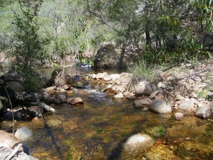 Fourth view of Homely rural property listing, 1221 Dude Ranch Road, Iveragh QLD 4680