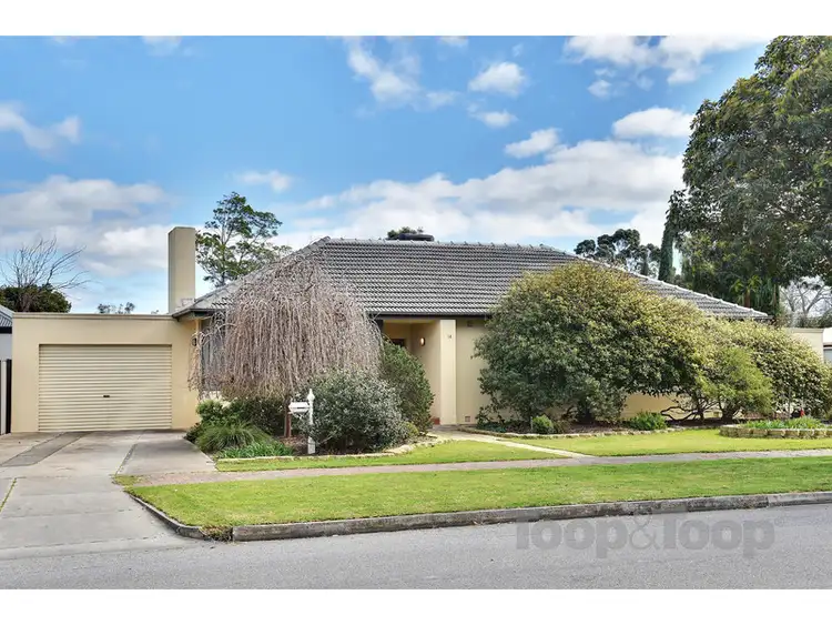 Main view of Homely house listing, 14 Burnley Street, Henley Beach South SA 5022