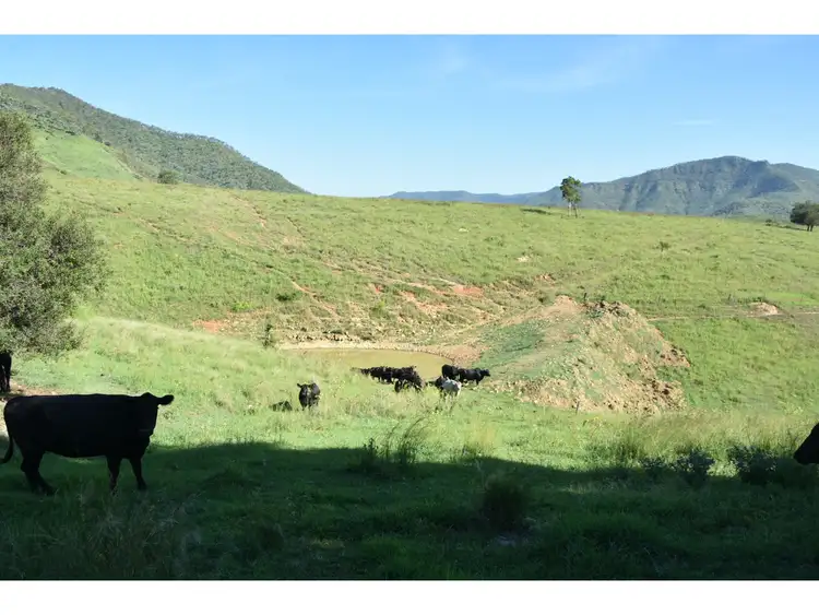 Second view of Homely rural property listing, 165 & Lot 298 Lefthand Branch Road, Lefthand Branch QLD 4343