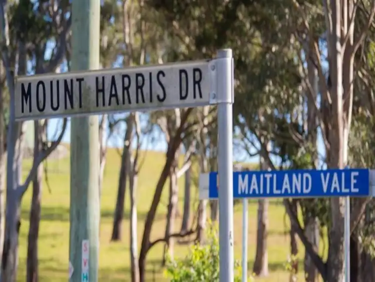 Fifth view of Homely land listing, LOT 101 Mount Harris Estate, Maitland Vale NSW 2320