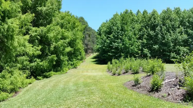 Fourth view of Homely rural property listing, 191 Pinnacle Road, Tyalgum NSW 2484