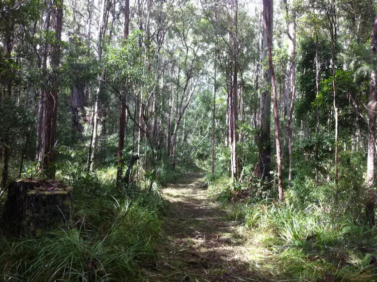 Third view of Homely land listing, LOT L490/Lot 7 Webster Road, Wondecla QLD 4887