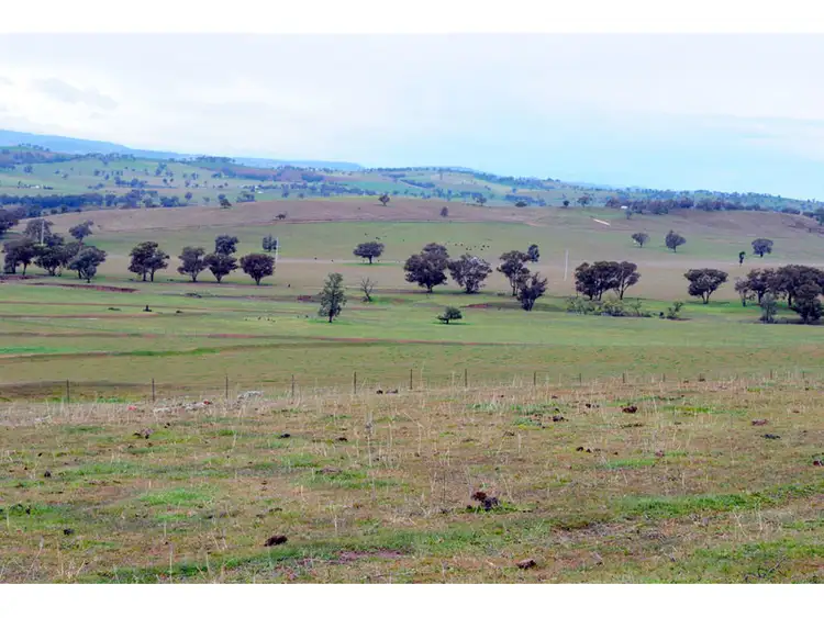Sixth view of Homely rural property listing, 'Mackeys Spring' Coates Creek Road, Manildra NSW 2865